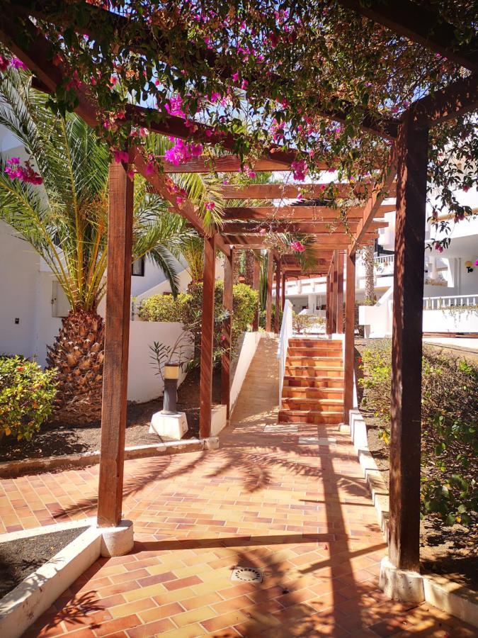 Comfortable Cleo Apartment With Large Terrace Costa Teguise Eksteriør billede
