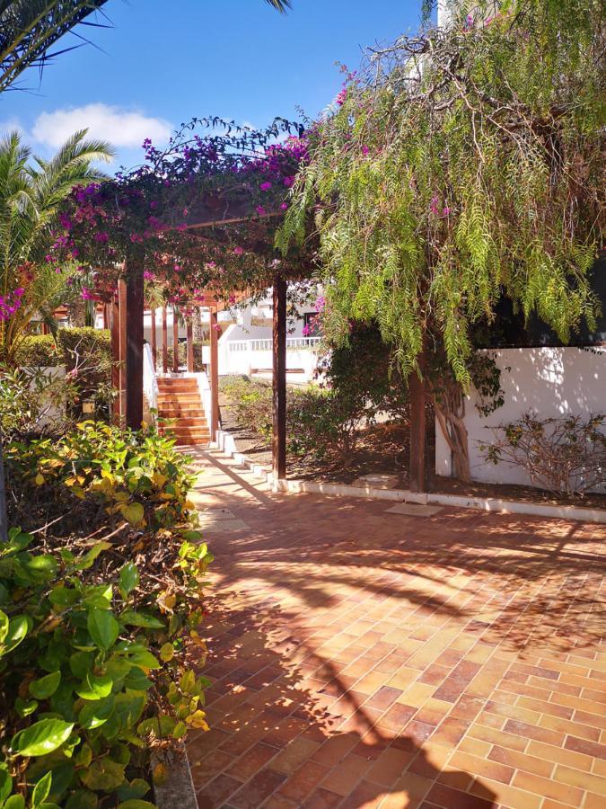Comfortable Cleo Apartment With Large Terrace Costa Teguise Eksteriør billede