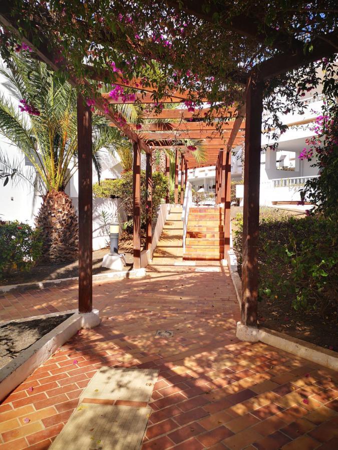 Comfortable Cleo Apartment With Large Terrace Costa Teguise Eksteriør billede